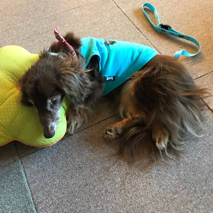 96dc463b 5a14 47bd a941 95423058cf3a 1598480501622