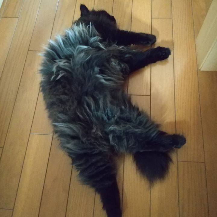 96dc4e9b dffb 4977 bb62 6e03af361c08 1689652384251