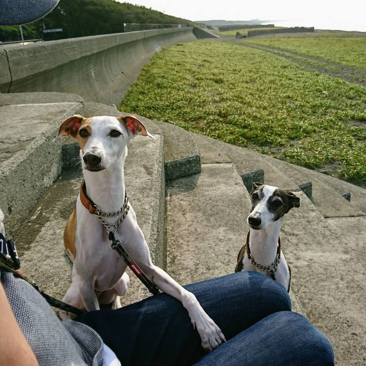 96dc62a1 444a 4b4b 873c dbc353f0b78a 1591621436553