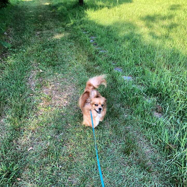 96dc6d1a 913b 4cea 9e02 29905270f157 1561498419862