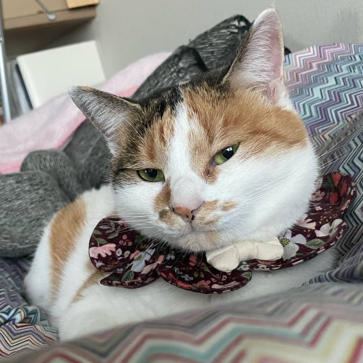 96dc7352 5702 4dc8 88c8 e9a28ecce5d2 1732850898371