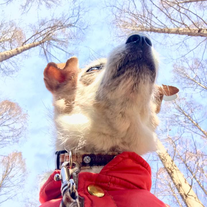 96dc9733 ef40 46ed b83c edb7b855ac39 1644129329786