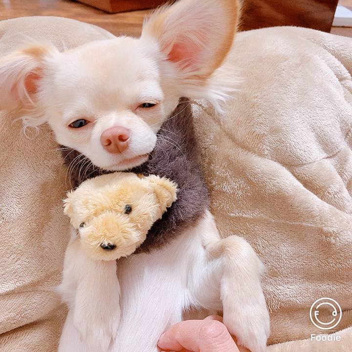 96dcb31a 8e89 4c10 90ac 769d7b6a7e3b 1609023716213