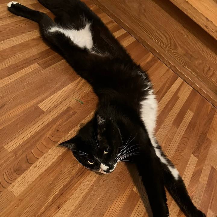 96dcce4d 7637 45b5 8463 a73eb605137a 1693883798115