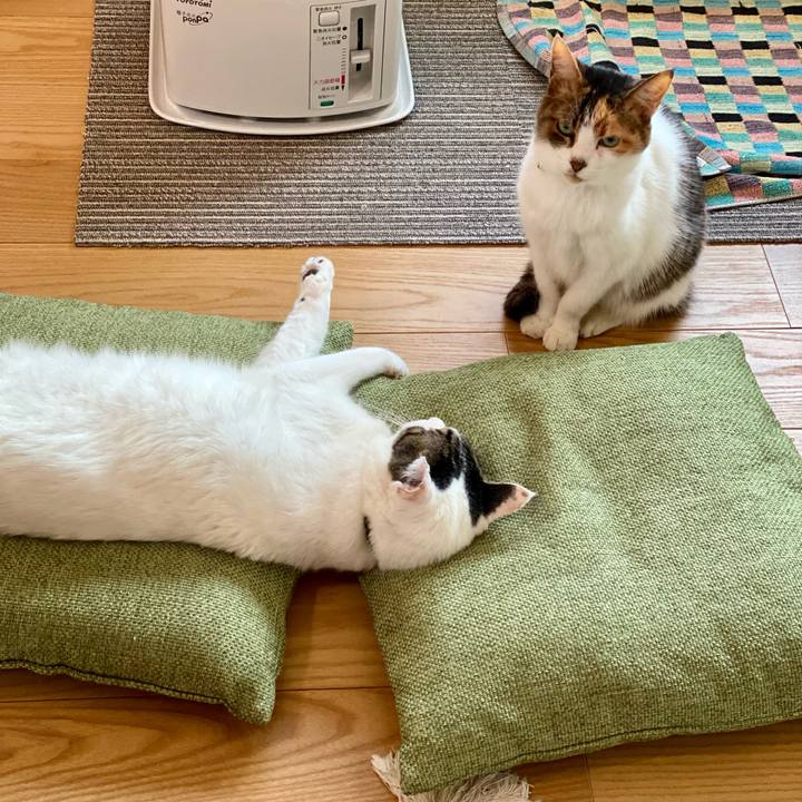 96dcef76 de84 4130 be8d 9508e757dea4 1674169712648