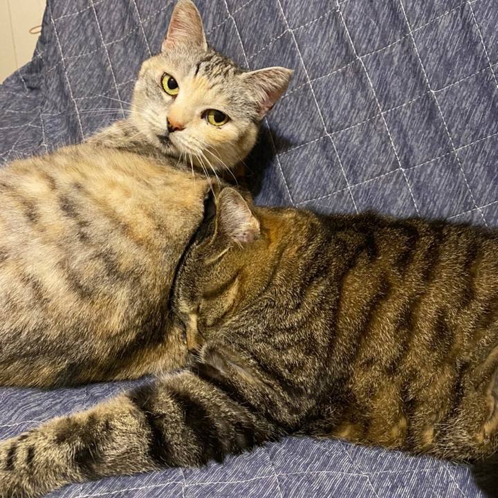 96dd0a82 5603 40e8 be37 d6c7574ab76d 1650977961440