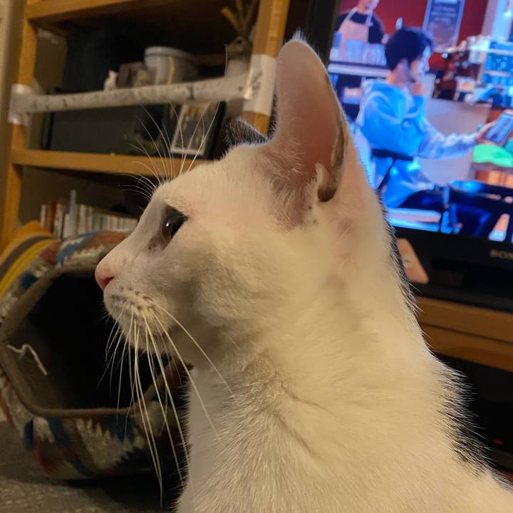 96dd5016 0f8d 44ec 8b9f a5d870d41429 1705278706846