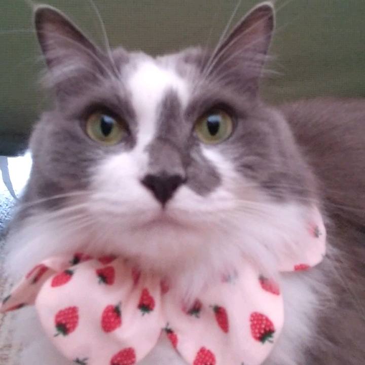 96dd78e4 4484 4e72 bc0a 0207beb27c01 1667967739155