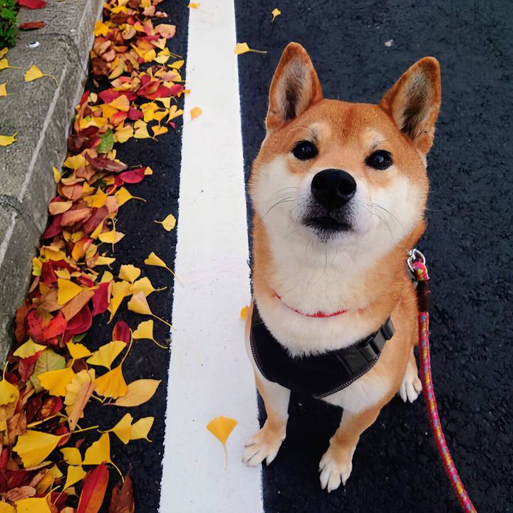 96ddc198 6386 405c 807e 1eeadec3b5fd 1764584217568