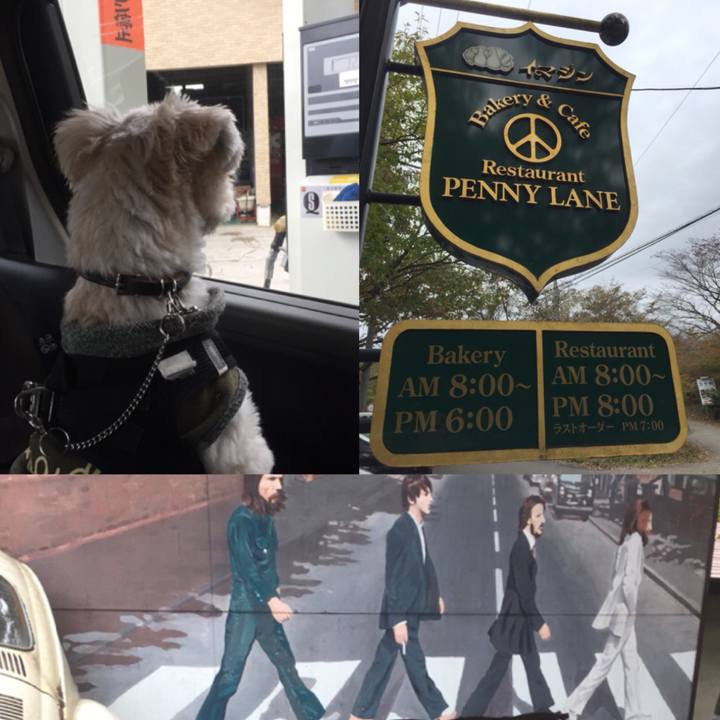 96ddf32c fc17 4108 bc03 b2146a8f584b 1510045533488