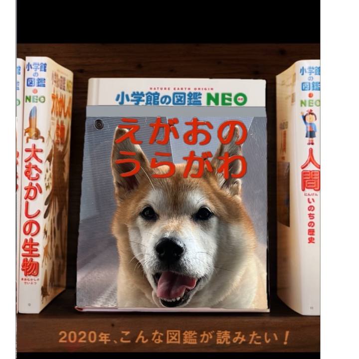 96ddff4e 8643 460c 9130 db189cde93a5 1706264425057