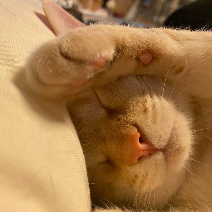 96de0652 ff87 4b69 b609 575436b5e558 1644766996608