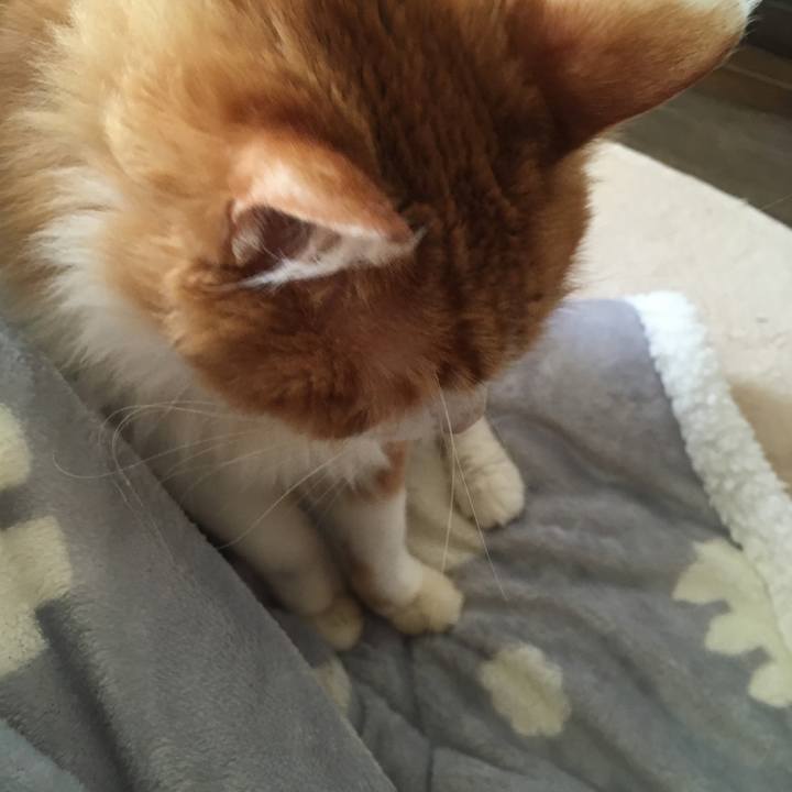 96de81ad de9b 48d2 9938 e87be7aa87d7 1572837491843