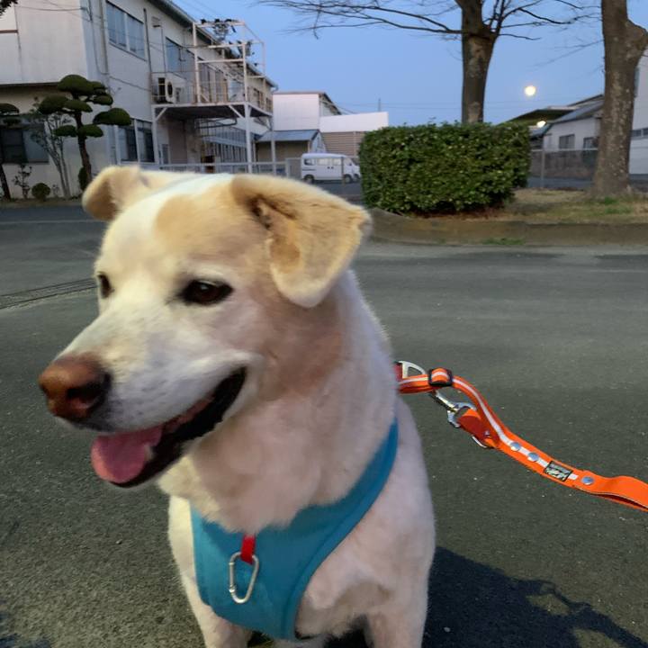 96de9b17 4932 4640 8ffc 7b58c4620c57 1678187199442