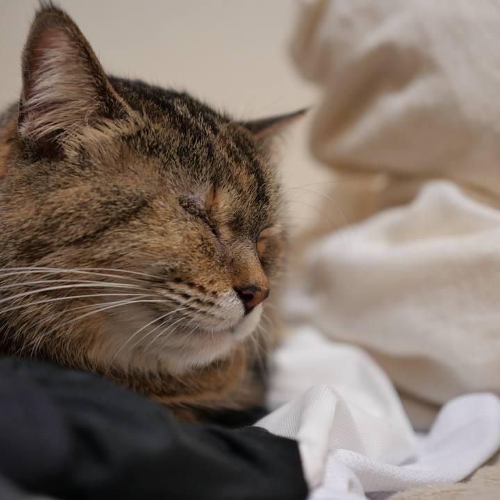 96deb166 2dac 4cd7 b883 12aef312b1fb 1742653373345