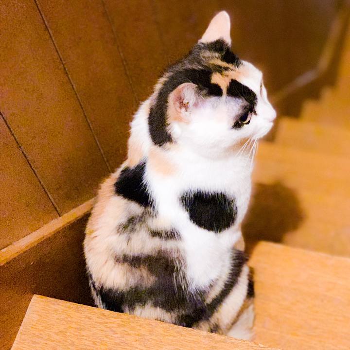 96deb346 1196 4d3d a67d 3d2e74e97271 1563674983077