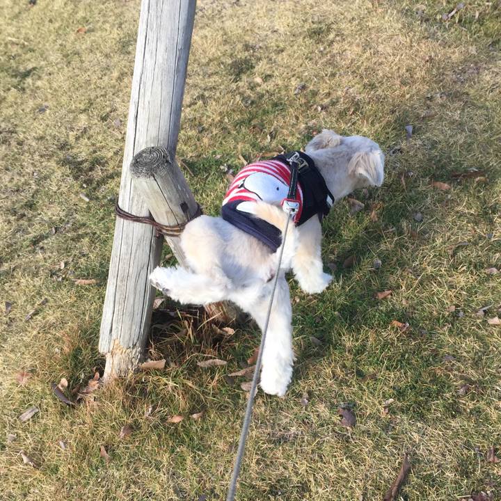 96ded13f 4664 42cf bb06 d8ff24cad0bf 1544013352546