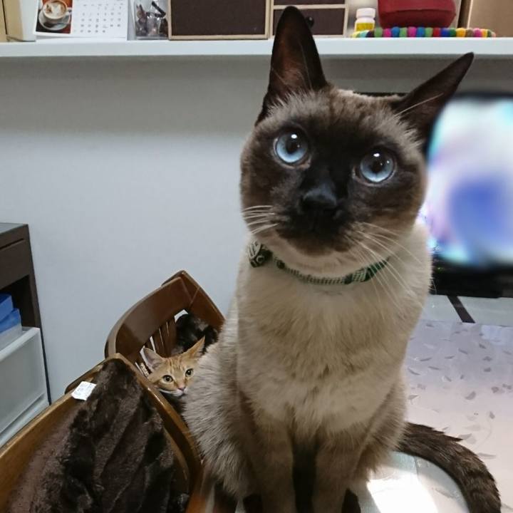 96dedd99 57f5 4a6c 839d ebaa294064d6 1512513414360