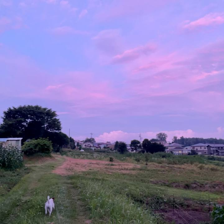 96dee175 739b 46a5 8c39 687fb0092689 1627298952381