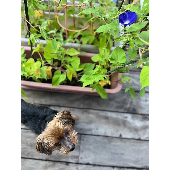 96df5a3c b33c 486a 9c38 3bd5912a42f1 1721429076872