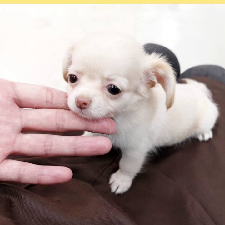 96df5c3f 3a61 447c a826 0e6eaadd8551 1628682770526