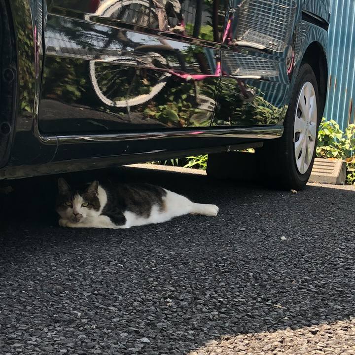 96df6f92 77be 4b7f 80d1 7374289a14ad 1599976438597