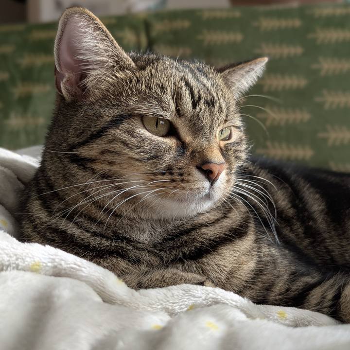 96df76c2 857e 4462 ac53 9ed581017c95 1735772461123