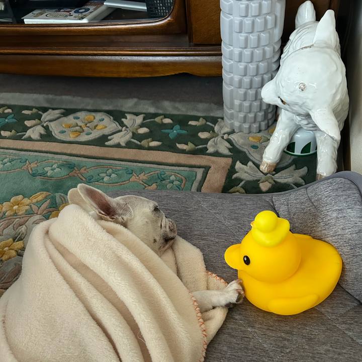 96df9fb4 2edf 47fd b9db 1f52a2525bfd 1688195159562