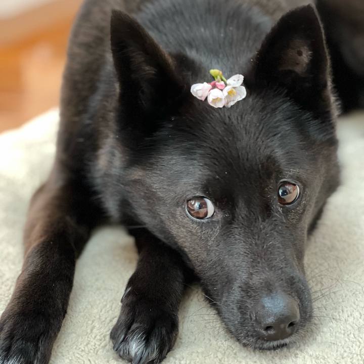 96dfb0c8 df7a 40da abce f668b7073a21 1648735354154