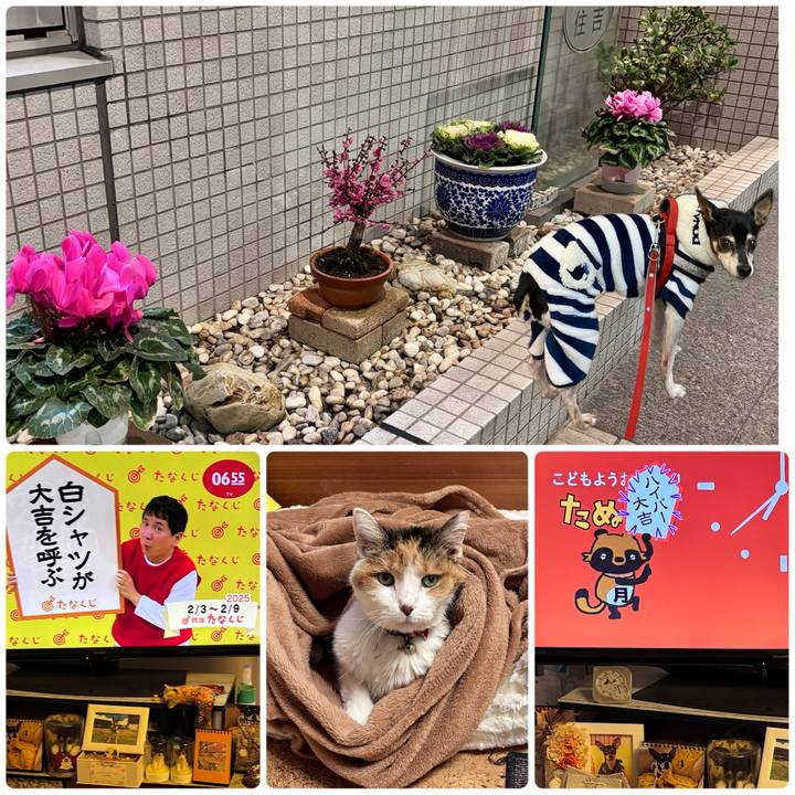 96dfdc77 e3e2 4a6d aab2 de939b9646ea 1738535163210