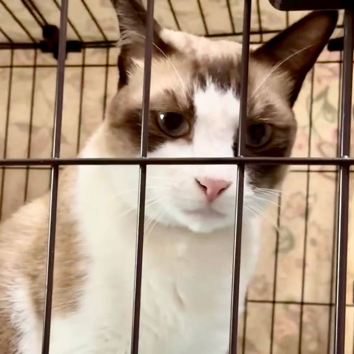 96dfea0c da44 4f2b 832a adbef6b4b6a4 1757645757394