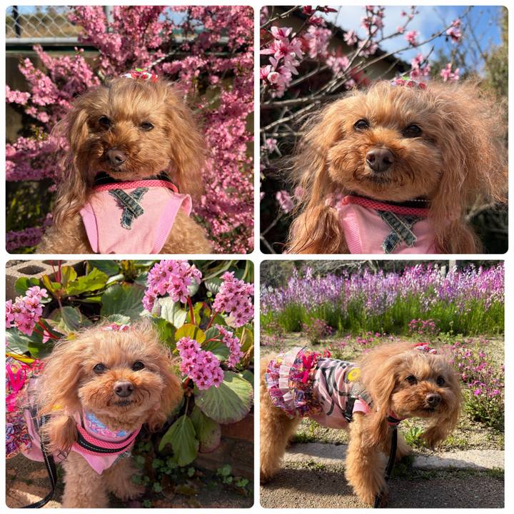 96e0022e cab0 47f4 bdb5 abe0cfc782e0 1774242202585