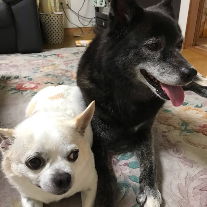 96e00383 2053 49d7 a946 ef3ed16b6db6 1569991386476