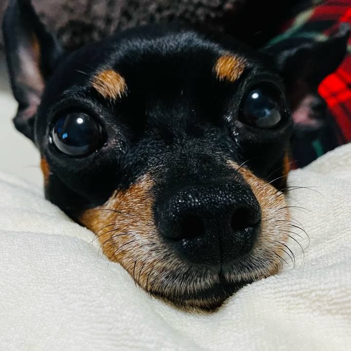 96e00842 fb5e 4195 94fa b408fed6bba4 1734125304189