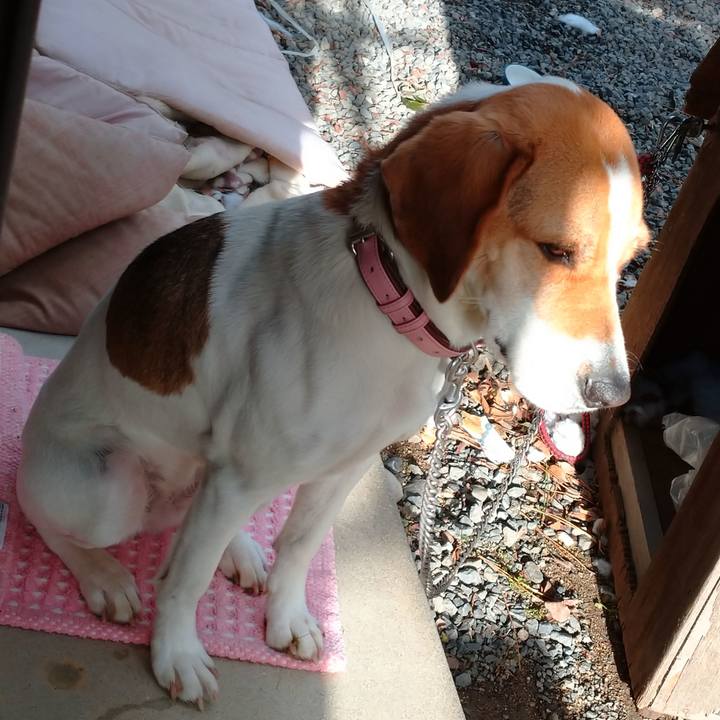 96e00f5a c28e 4887 ab06 99ea7650be15 1579068979993