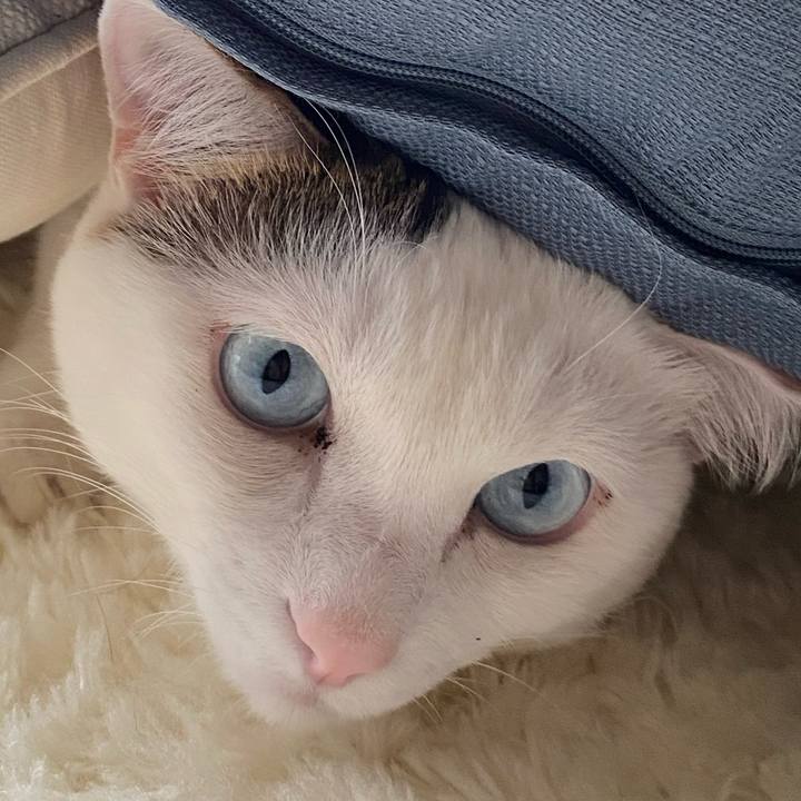 96e02acb c80b 404b 8ad1 88b87a80d733 1664576693368