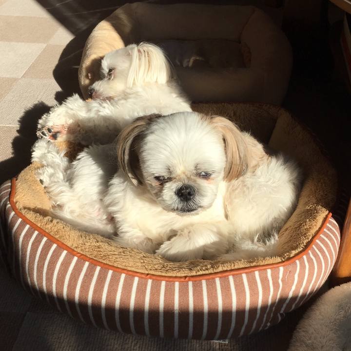 96e02f49 4cc2 4429 8eef fa7962bfa5a0 1545180777454