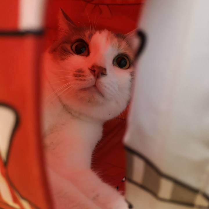 96e03ca7 b901 44b8 9f58 e6554bbc3eda 1560347081596