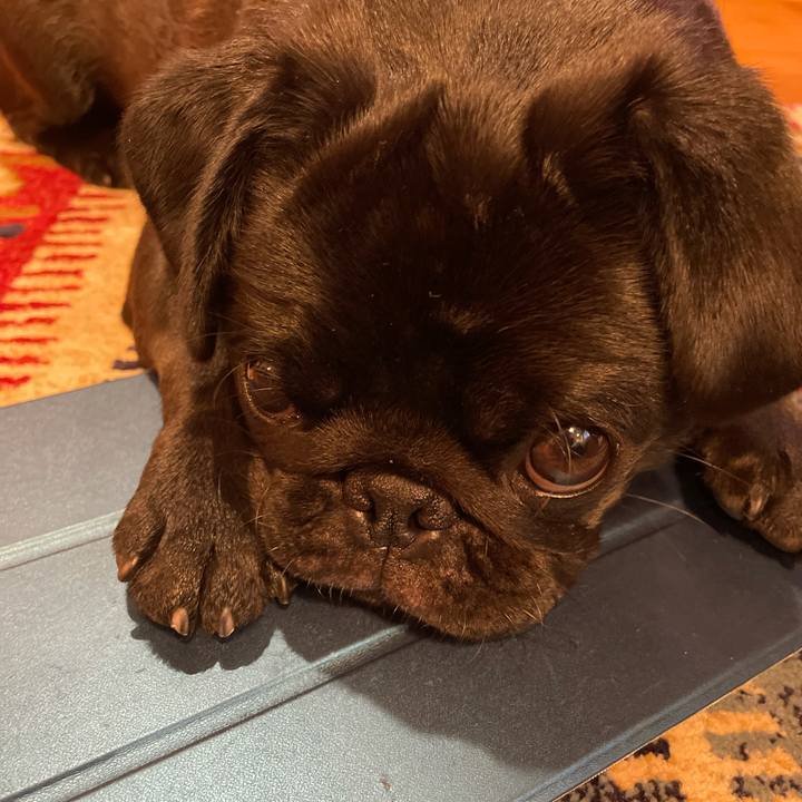 96e03d15 2694 422a 8cb0 1c98f8b13561 1615680855406