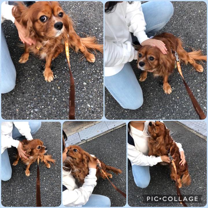 96e08180 2658 488e b8f1 a12e014ba46d 1603526768235