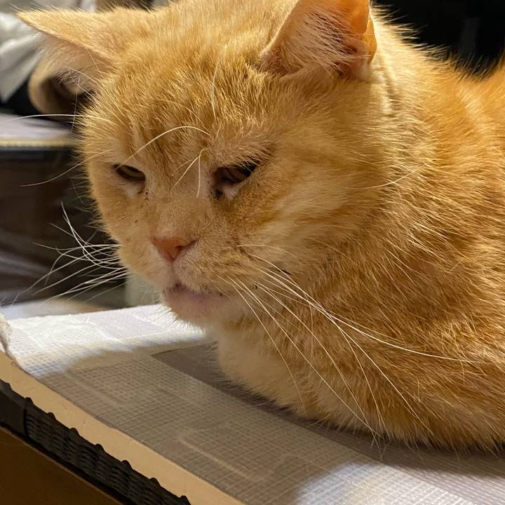 96e08b81 bf4d 4561 bd12 3e35dda78729 1613312883715