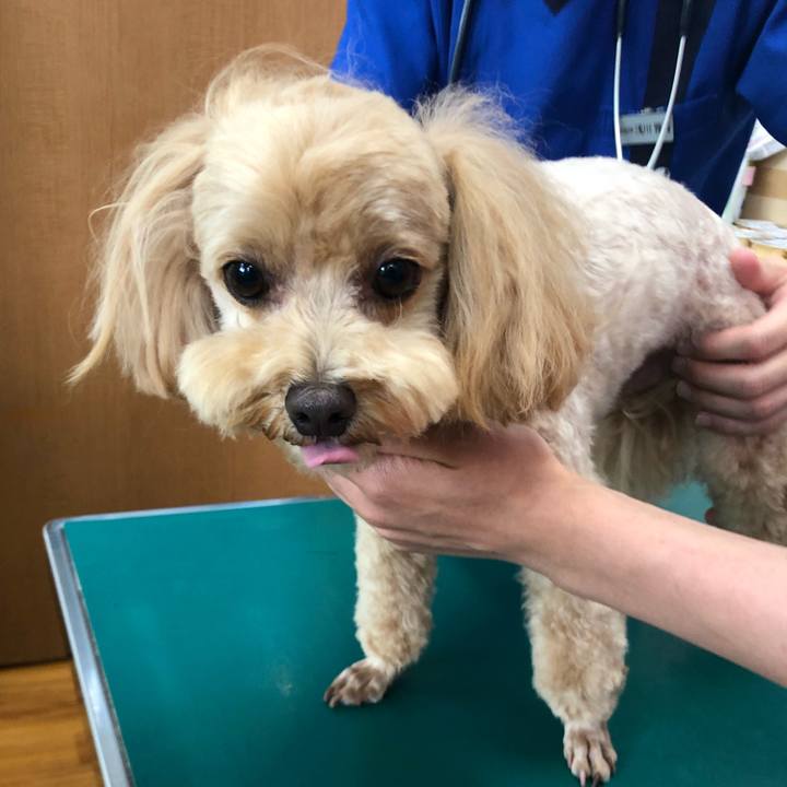 96e0a371 2302 469a 8e4b 00da05be4bca 1686382192205