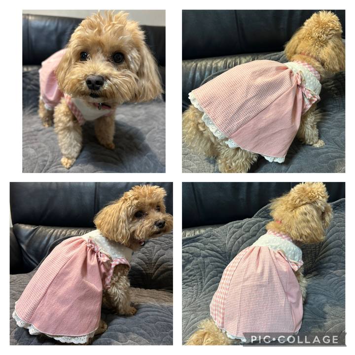 96e0c166 e778 4e3f 8dd0 b6c1cdaf371f 1746156660906