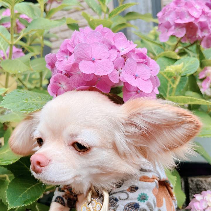 96e117c7 3c53 4e9e b590 8283694e423e 1655295914530