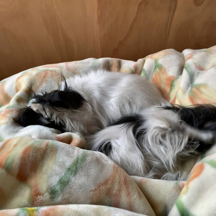 96e1375c 3f5a 4970 ba47 4912c717f73f 1552479583599