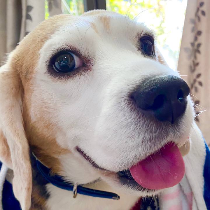 96e142b6 39eb 484b 8b19 bec4869870aa 1584420238061