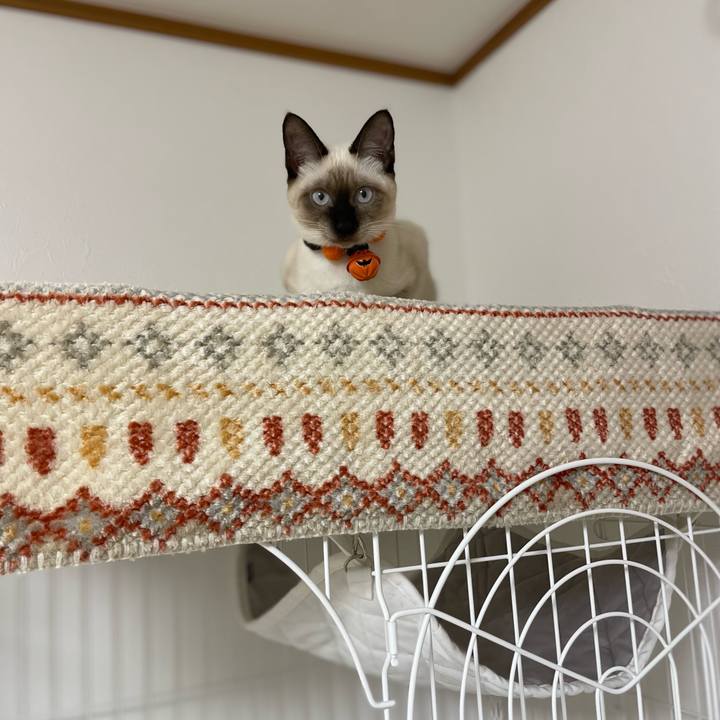 96e14603 45c2 4ab9 99df 796906767ddb 1696879185521