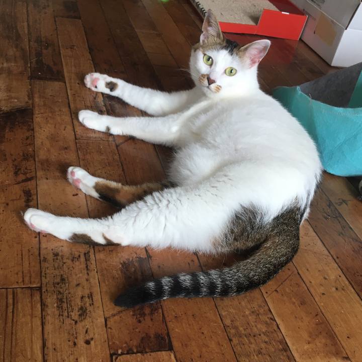 96e1522a 68d9 4929 9b3c 69076f504817 1593248975046