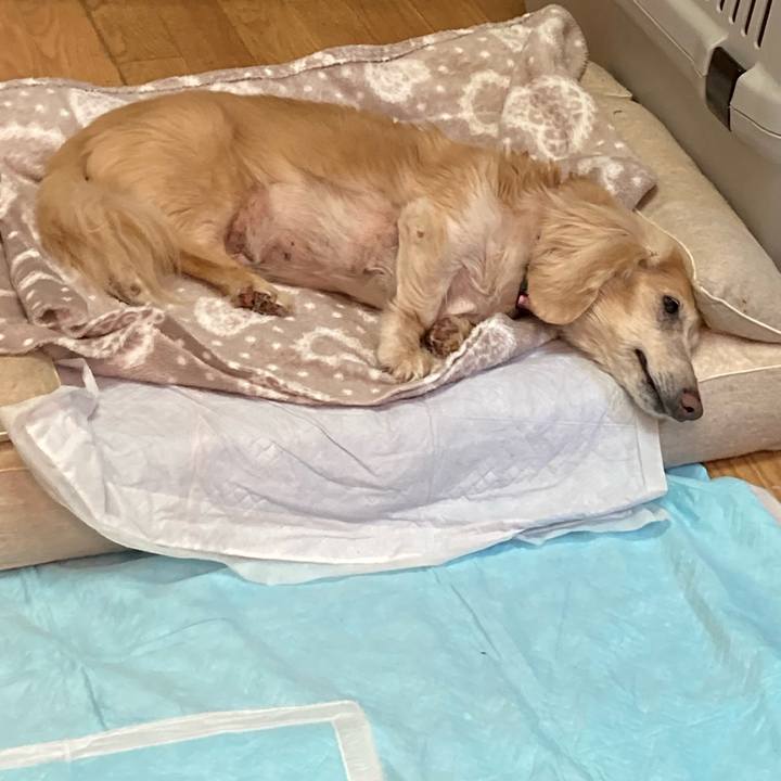 96e17268 5da6 482e ae26 81792c006ab1 1662108991797