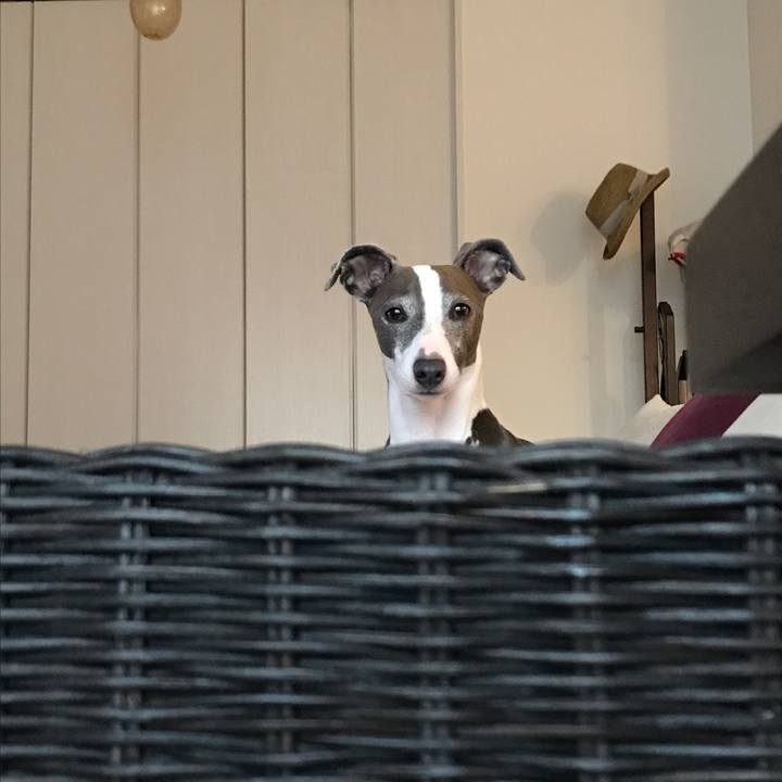 96e1a3c5 3245 4212 9975 70513e08f542 1510293599398